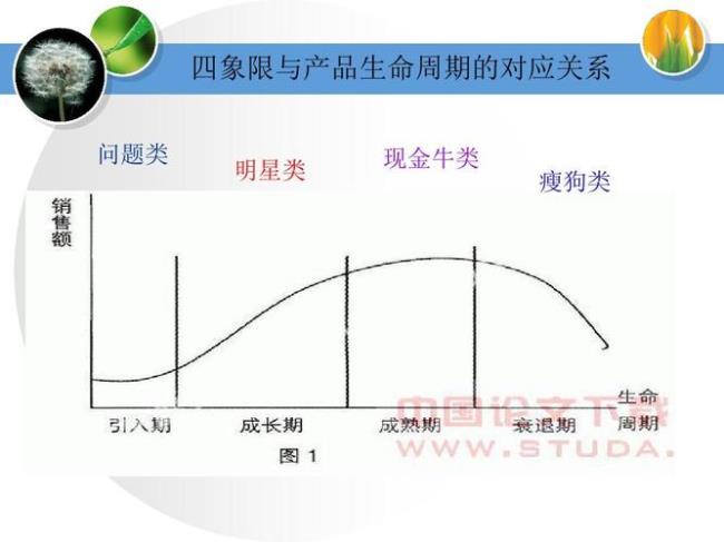 什么是BCG分析法怎样运用