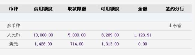 信用卡显示有余额