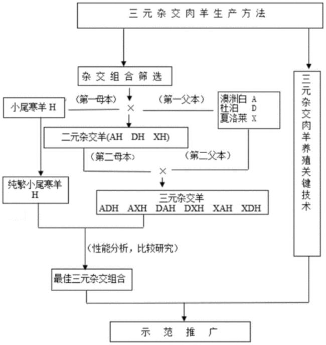 物质生产方式是