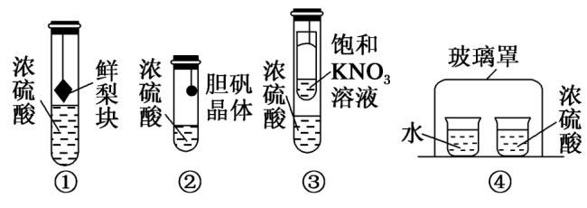 铜单质和浓硫酸反应