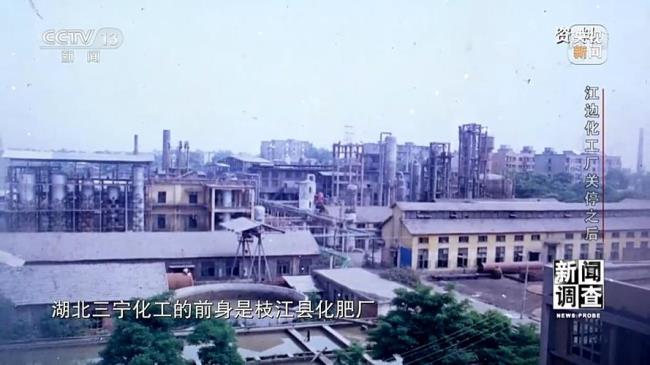 湖北省枝江市有哪些厂