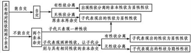 性状与表型有什么区别