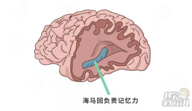 保持记忆的容量有哪两种情况