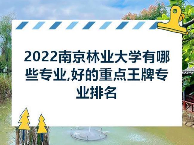 南京林业大学最好的专业