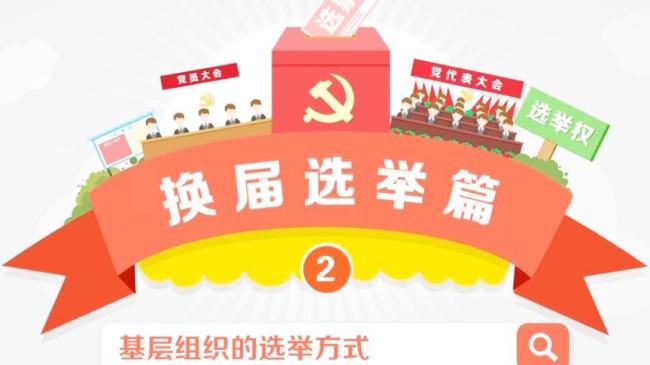 中国公民哪种情况不享有选举