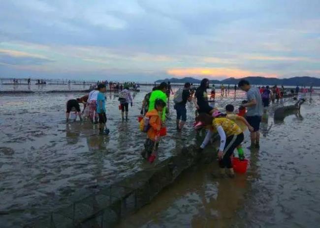 牟平赶海最佳地方