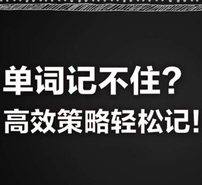 为什么六级单词好难背