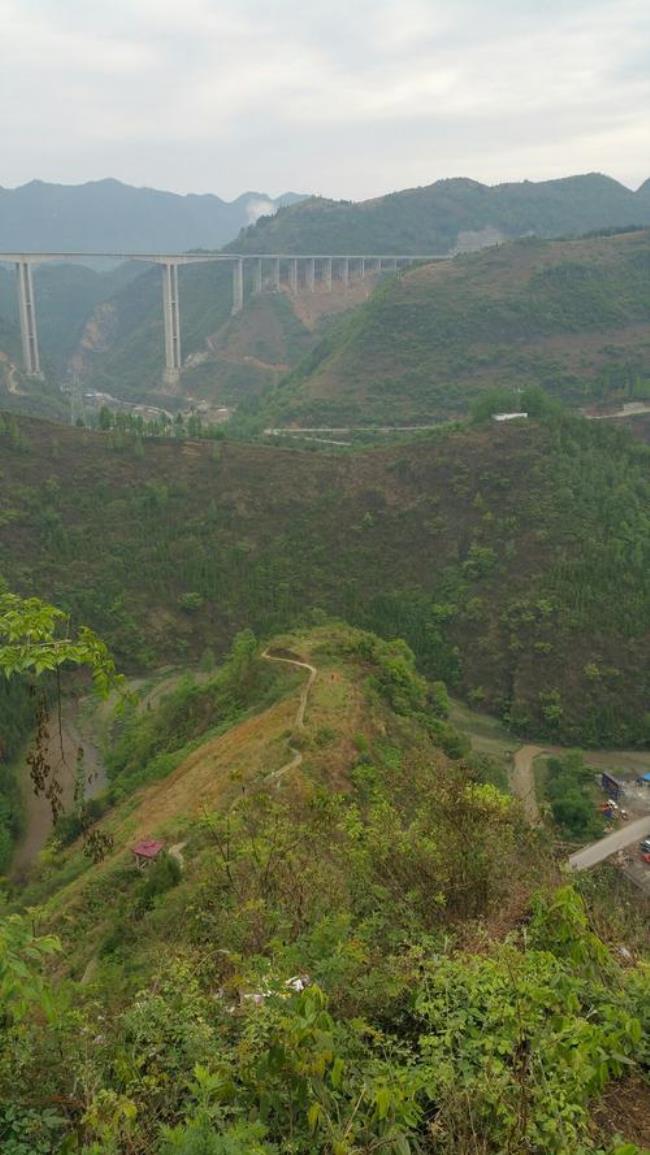 贵州省纳雍县龙场镇简介