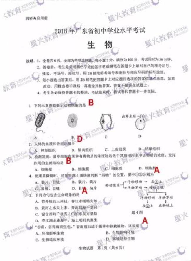 会考两个c可以考中学吗