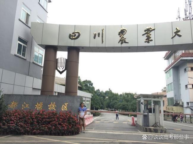 雅安市一共有几所大学