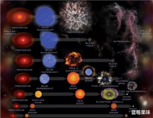 万物生长太阳的恒星类型是