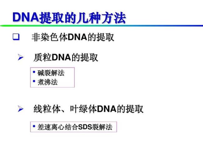 DNA提取原理与方法