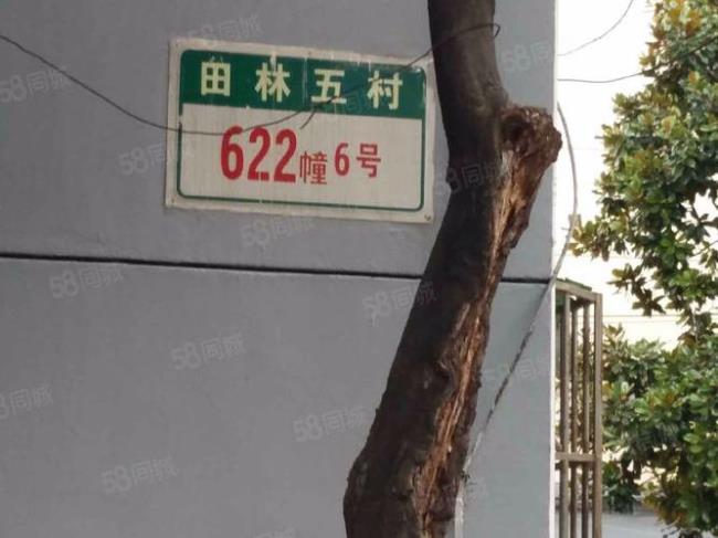 上海徐汇区桂林路属于哪个区