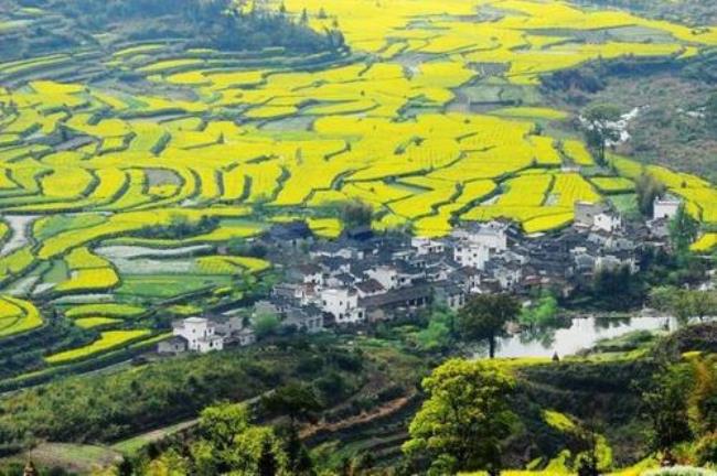 中国美丽乡村是哪里最先提出的