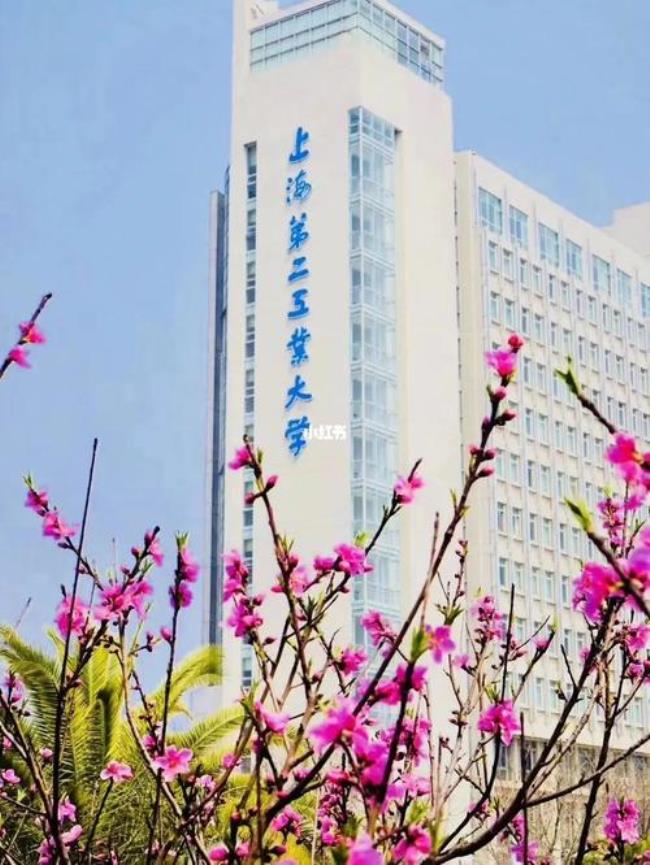 上海第二工业大学有医学专业吗