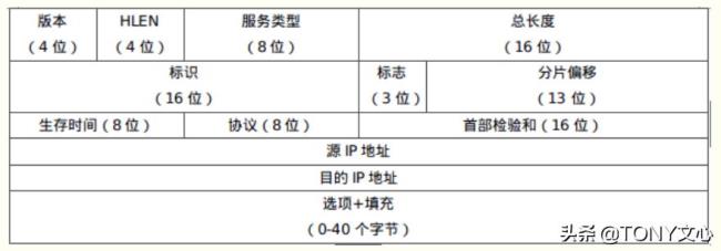 ip数据报协议包括哪几部分