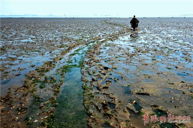 青岛高新区赶海的地方