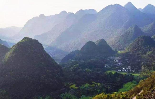 广西十万大山位于广西哪个县