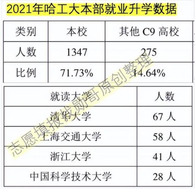 哈工大深圳校区全国排名第几