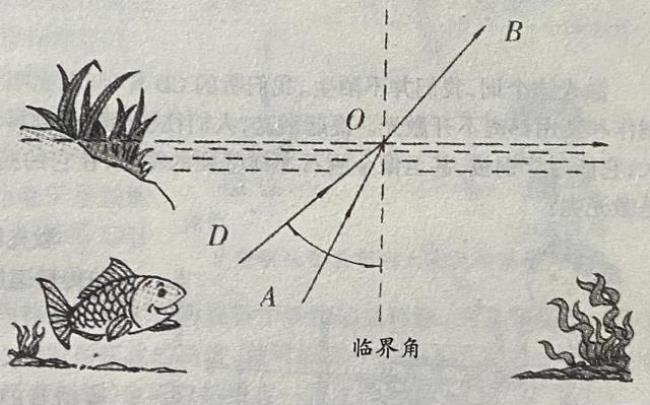 反射分为哪几种如何区分