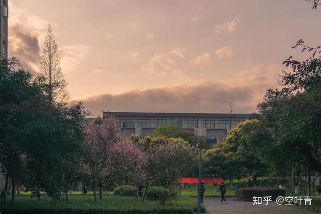 重庆交通大学怎么样