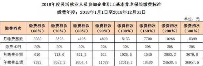 大理灵活就业人员社保缴费标准