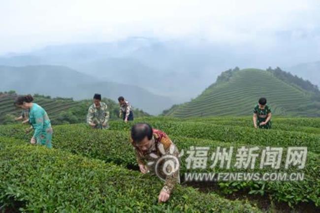 福州连江种植什么最好