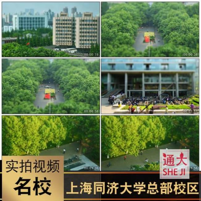 同济大学在上海有几个校区