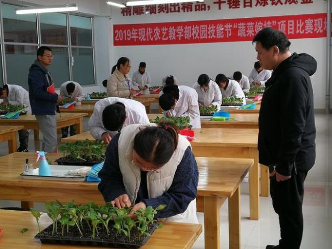 现代农艺技术可以考什么大学