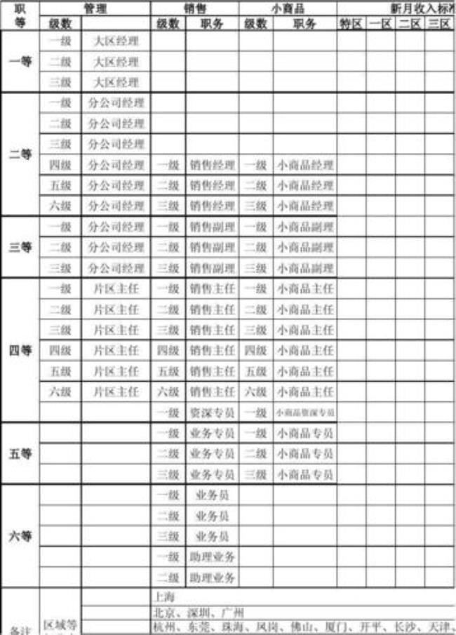 保险公司sa是什么职级