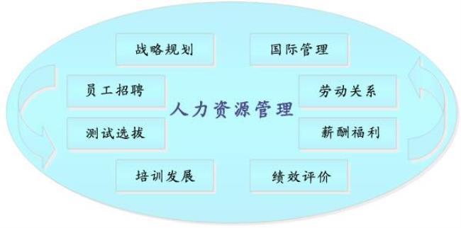 人力资源培训模块的职责