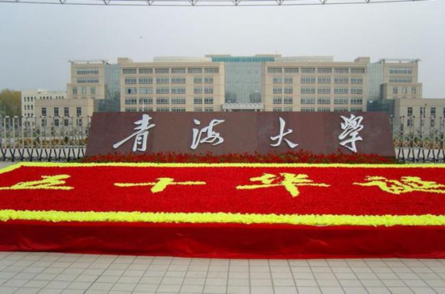 青海大学是985还是211王牌专业