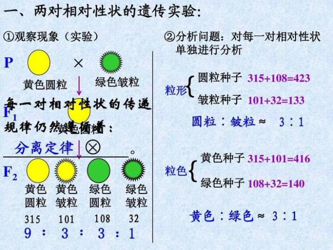 什么叫性状差异