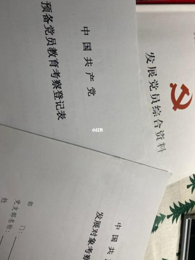 大学生毕业后如何入党