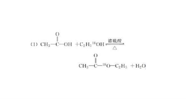 乙醇和醋酸反应的化学方程式