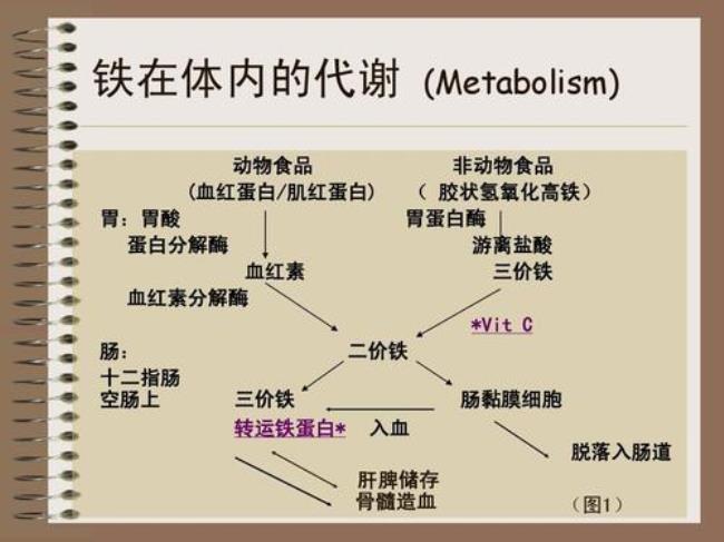 如何去除2价铁和三价铁