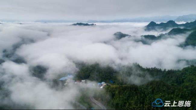 湖北利川蒙道海拔是多少