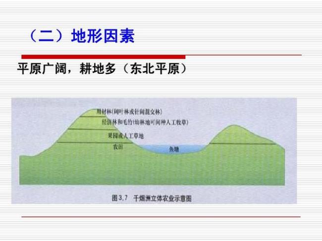 中国耕地各种地形占比