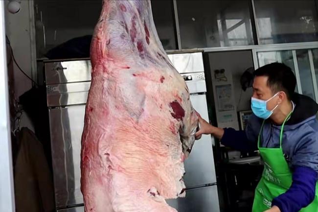 广西柳州最大活牛市场
