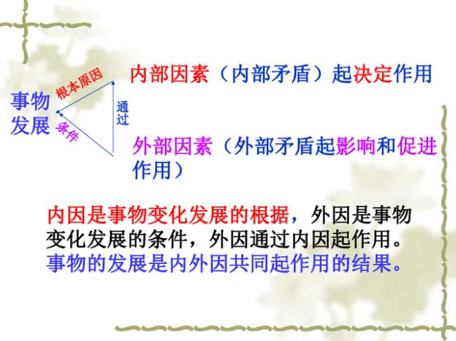 外因通过内因起作用什么意思