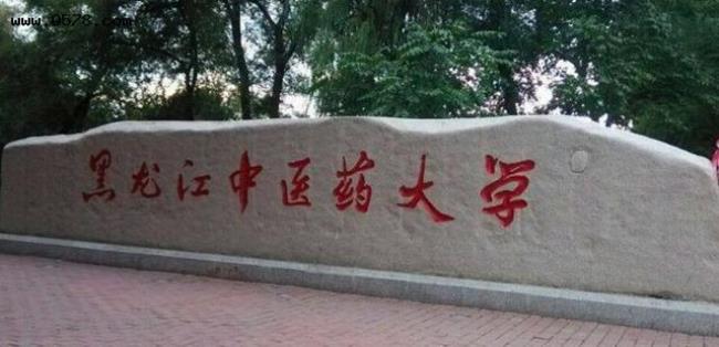 哈医大的社会医学属于哪个学院