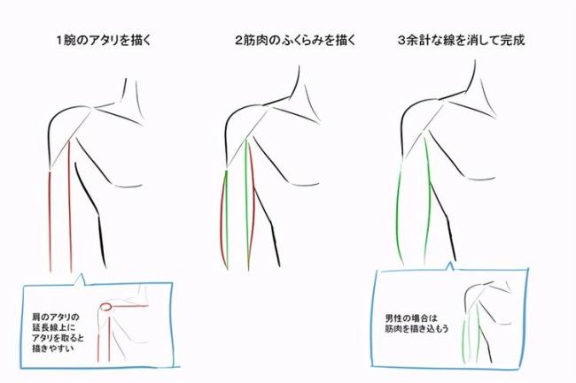 人的身高与手臂长度比例是多少