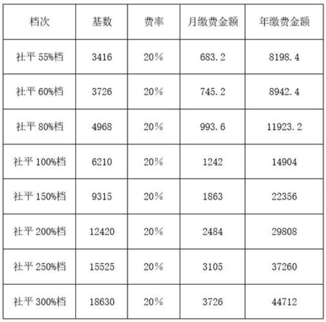 2015年灵活就业人员社保交多少