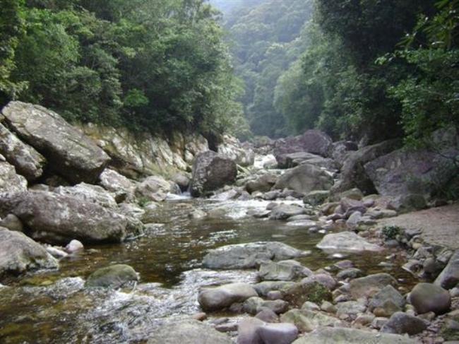 上思十万大山旅游景点