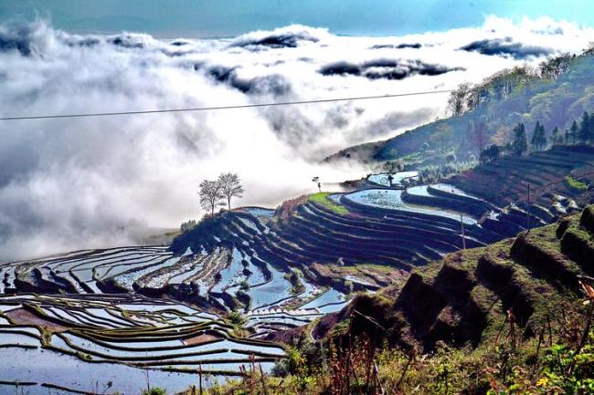 云南红河州少数民族主要有哪些