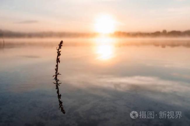 太阳出来雾散了是什么物态变化