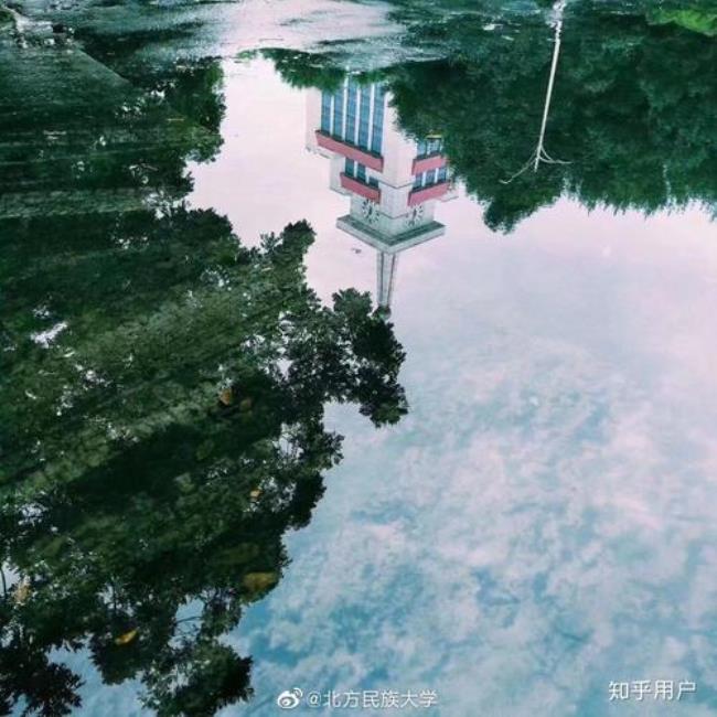 北方民族大学和郑大哪个好