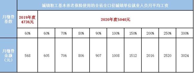 社会保险年缴费基数是什么