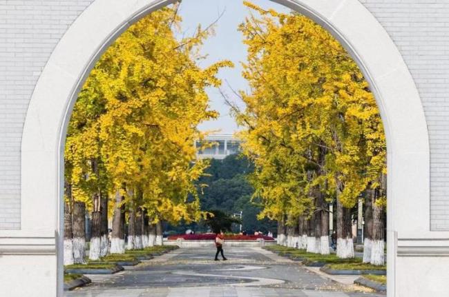 成都理工大学川内认可度