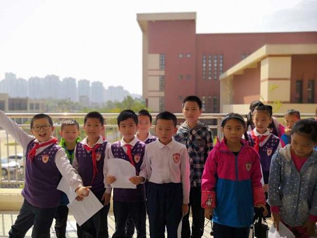九龙湖外国语是私立学校吗
